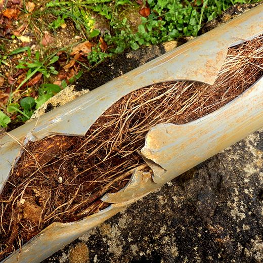Same Day Drain Sewer & Rooter Pros Across Wilmot